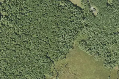 Camp site
