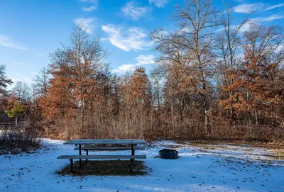 Snowy Campsite at St. Croix State Park, Minnesota - Picnic Table and Fire Ring (45451183195)