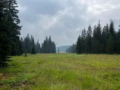 A photo of the meadow in the center of Target Meadows Campground