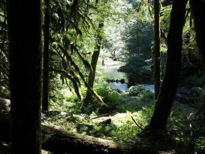 Lost Creek Campground