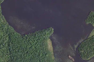 Rice Lake Site 3