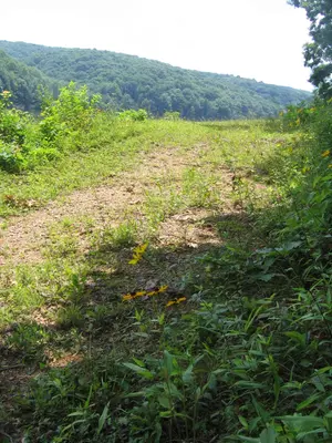 Hidden Valley Lake - 2677077233