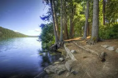Link Creek
