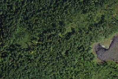 Backpacker Campsite 2