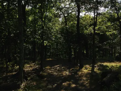 2014-08-26 16 31 57 View southwest along the Appalachian Trail about 3.1 miles northeast of the Delaware Water Gap in Worthington State Forest, New Jersey