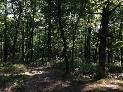 2014-08-26 16 36 31 View southwest along the Appalachian Trail about 3.1 miles northeast of the Delaware Water Gap in Worthington State Forest, New Jersey