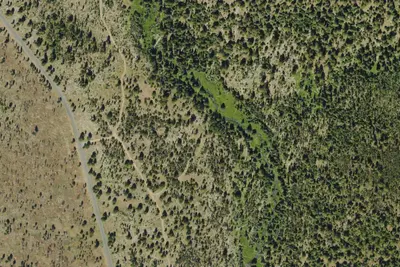 Primitive Camping Area