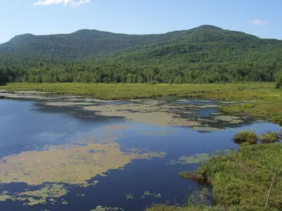 Camping du lac Fraser