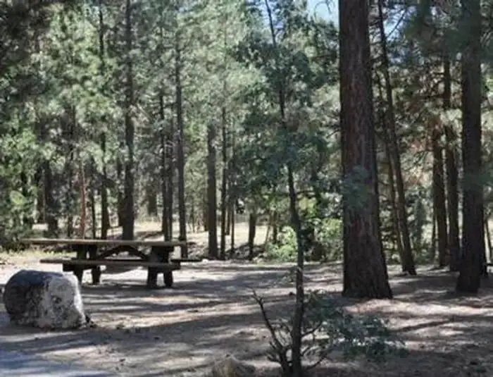 Shade & Picnic Tables of the San Gorgonio Campground..