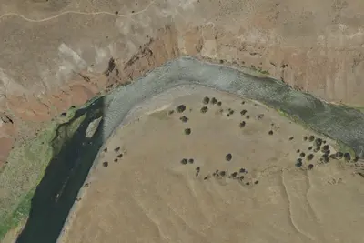 Camp site (Bureau of Land Management)