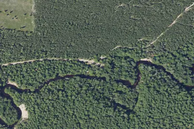 Reed & Green Bridge State Forest Campground