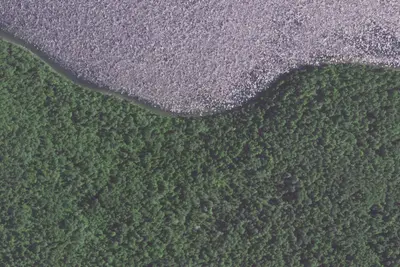 Moose Lake #5