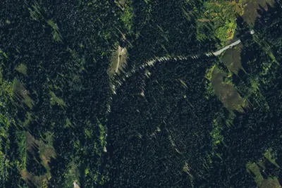 Camp site