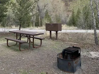 Wapiti Campsite 13, picnic table, fire ring, trees