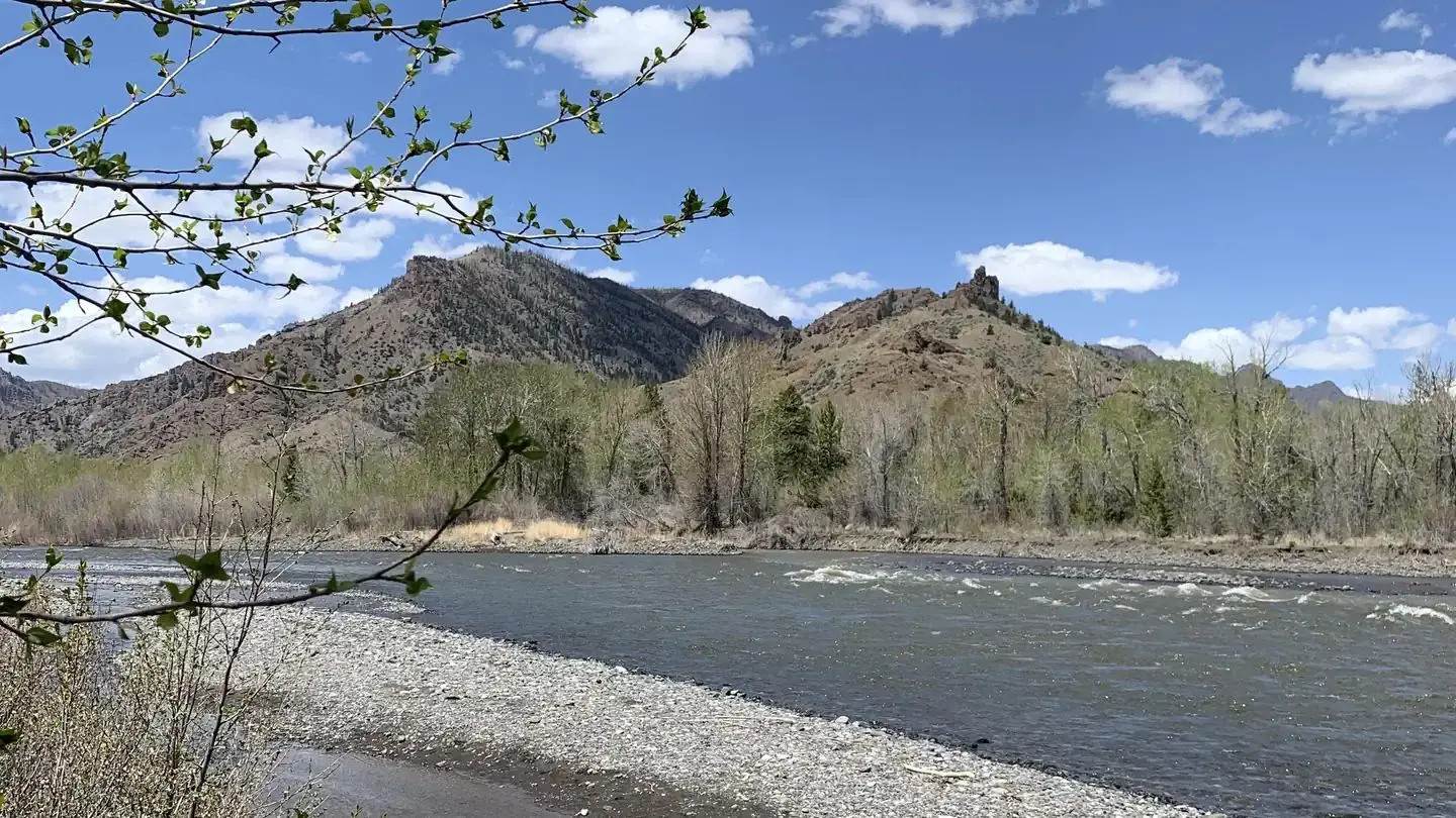 Wapiti Campground, North Fork Shoshone River,  mountains in background