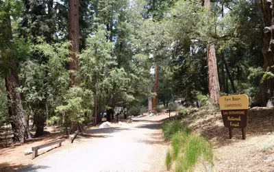 Roadway with Fern Basin Campground sign.