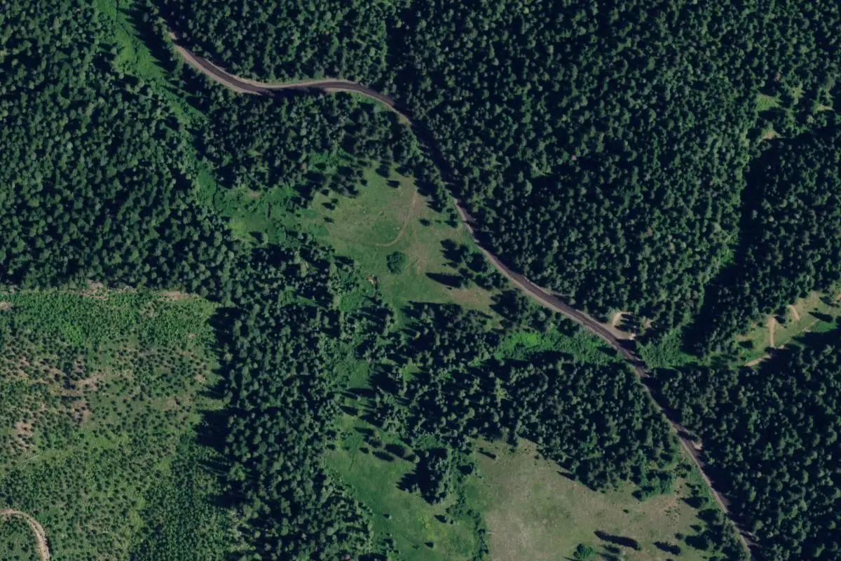 Aerial view