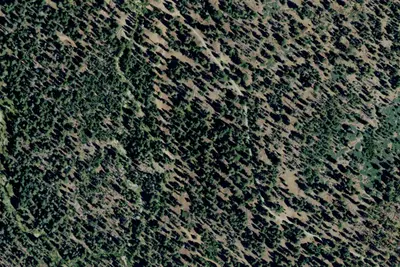 Upper Chiquito Campground