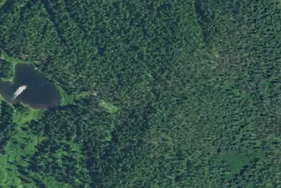Camp site
