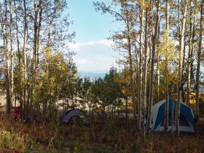 Campsite (183013061)