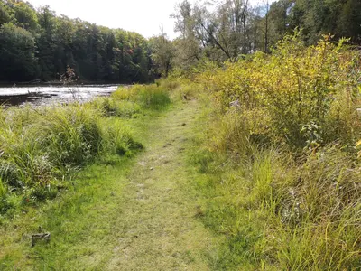 Sauble Falls Ontario (22094286090)