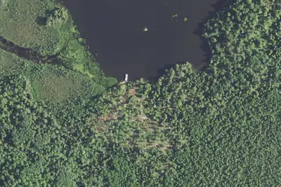 Camp site