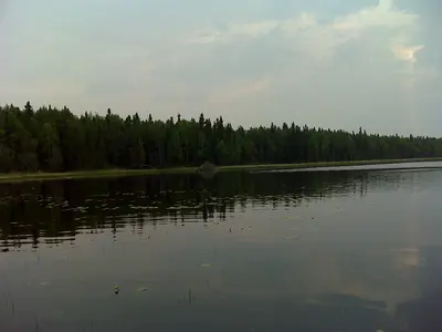 Beaver Den in Alaska - panoramio
