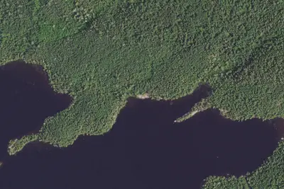 Camp site (Superior National Forest)