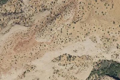 Camp site