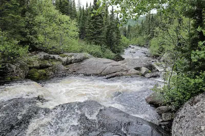 Petite rivière Malbaie PGJ 01