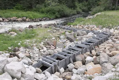 Fish ladder PGJ 01