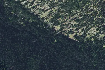 Gold Creek-002