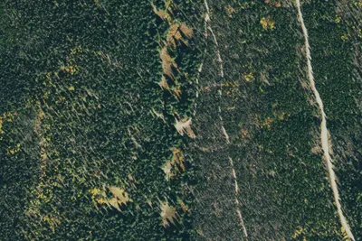 Camp site