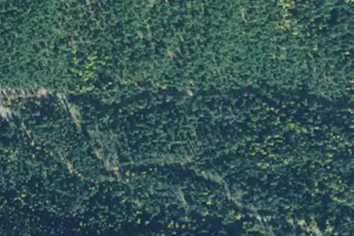 Rd 215 Site 3b