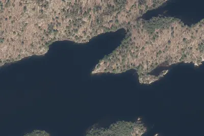 Site 64