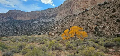 Buckhorn Draw Landscape View (55223918353)