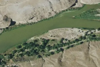 Cottonwood 4