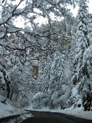Wintery road through Oak Creek Canyon (3879588092)