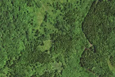 Camp site