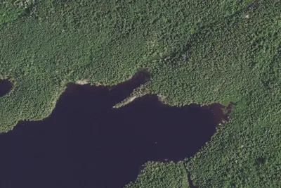 Ham Lake Site 4