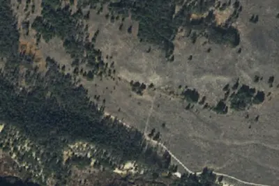 U.S. Forest Service Site 2