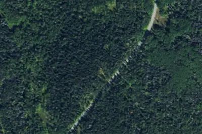 Camp site