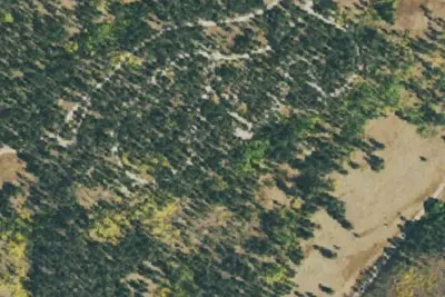 Jacks Gulch Campground