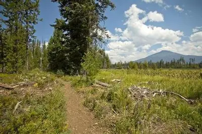 Mallard Marsh Campground