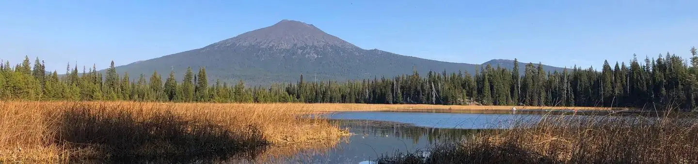 Mt. Bachelor from Hosmer Lake
