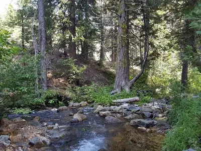 Creek at Berger
