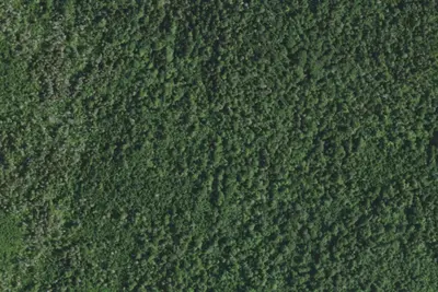 Camp site (NYSDEC)