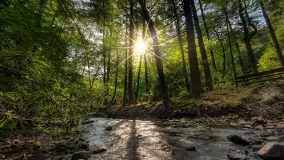 Conococheague Creek (50073508028)