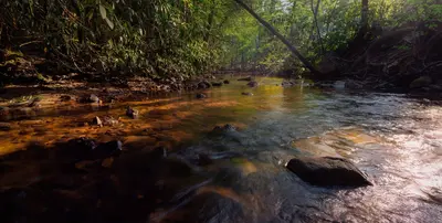 Conococheague Creek