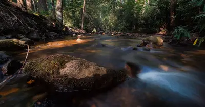 Conococheague Creek (50074076221)